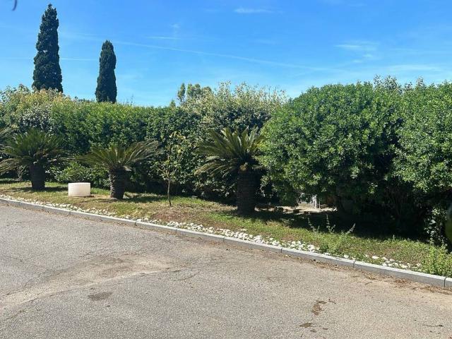 Appartamento in affitto a Montalto Di Castro, Lazio