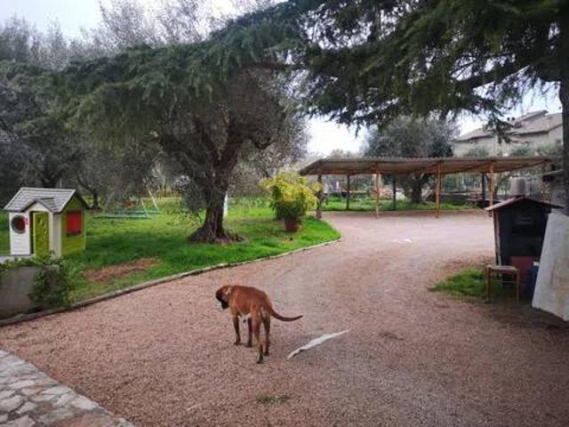 Appartamento in affitto a Montalto Di Castro, Lazio