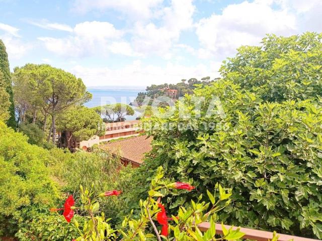 Appartamento in affitto a Monte Argentario, Pozzarello