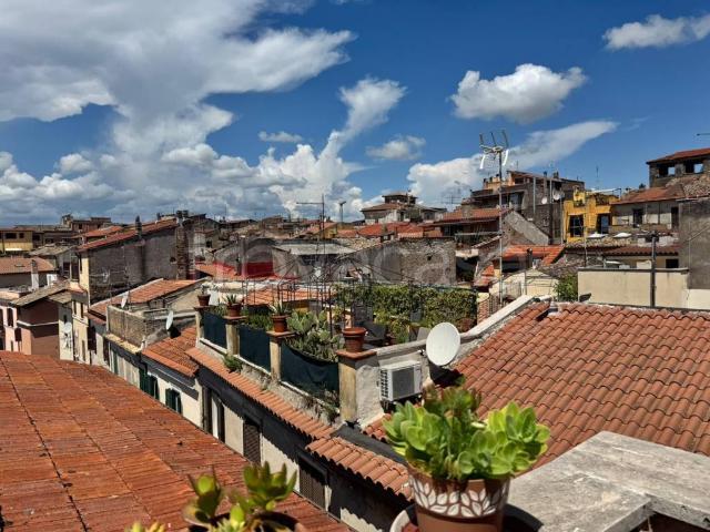 Appartamento in affitto a Roma Capitale, Lazio