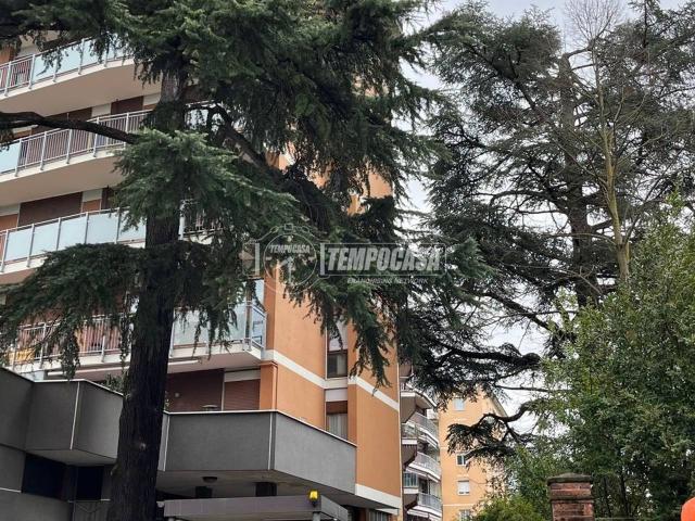 Appartamento in affitto a San Gerardo, Monza