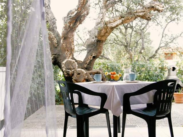 Appartamento in affitto a Poltu Qualtu, Olbia