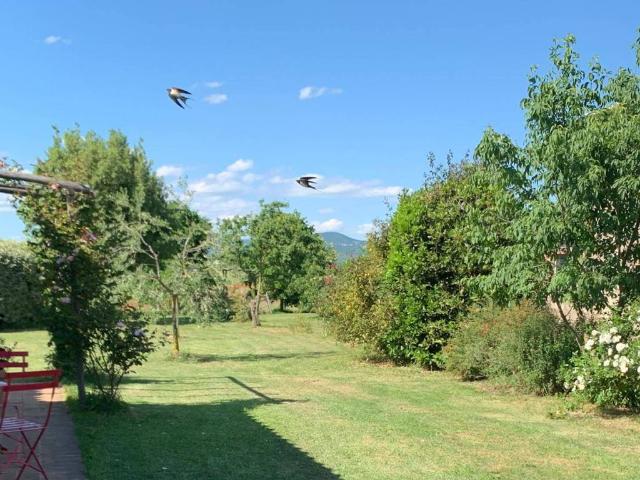 Appartamento in affitto a Orvieto, Umbria