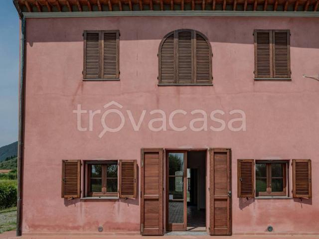 Appartamento in affitto a San Giuliano Terme, Toscana