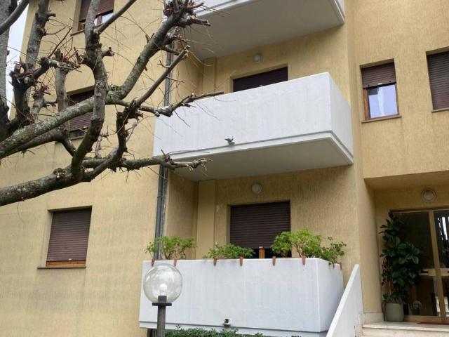 Appartamento in affitto a Marche, Ancona