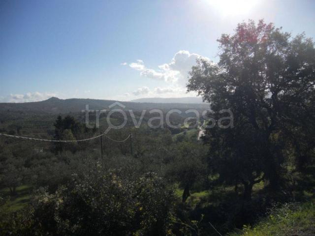 Appartamento in affitto a Panicale, Umbria