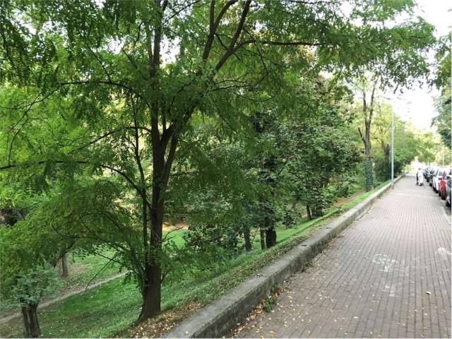 Appartamento in affitto a Cittadella, Sorbolo