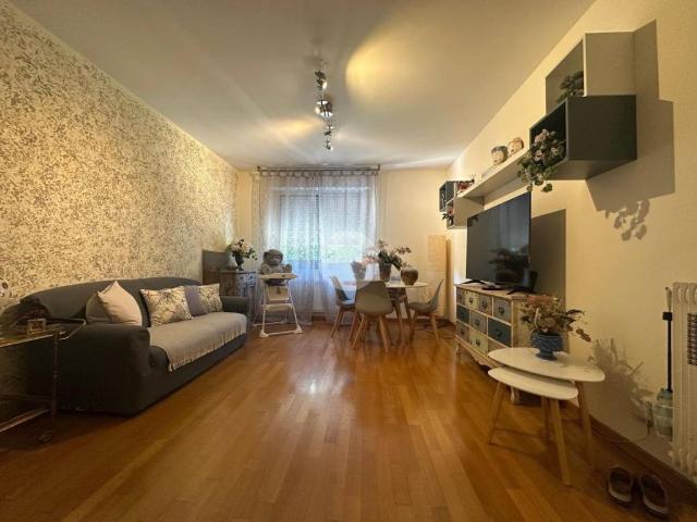 Appartamento in affitto a Sorbolo, Reggio Emilia