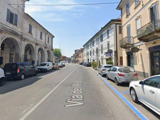 Appartamento in affitto a Borgo Ticino, Pavia