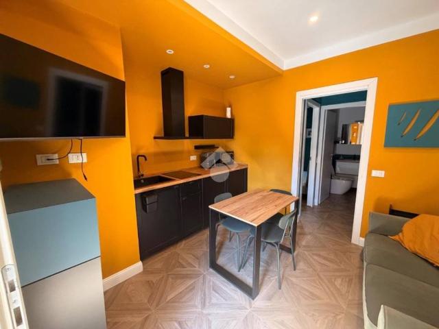 Appartamento in affitto a Borgo Ticino, Pavia