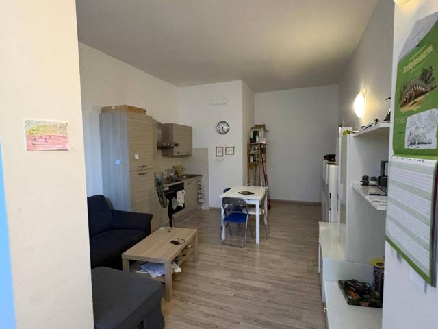 Appartamento in affitto a Borgo Ticino, Pavia