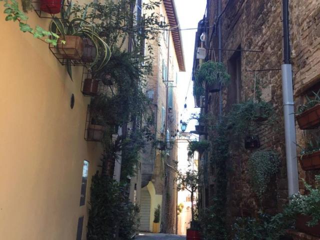 Appartamento in affitto a Cenerente, Umbria