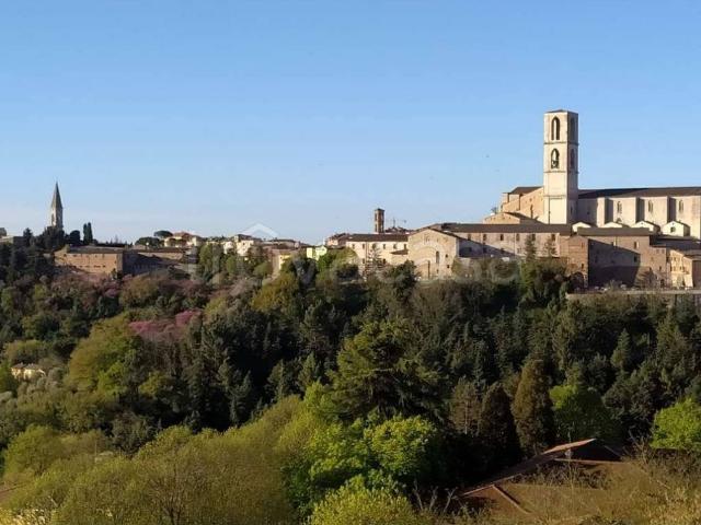 Appartamento in affitto a Sant'Erminio, Cenerente