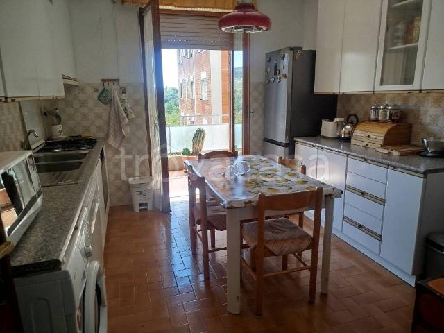 Appartamento in affitto a Isola, Luni