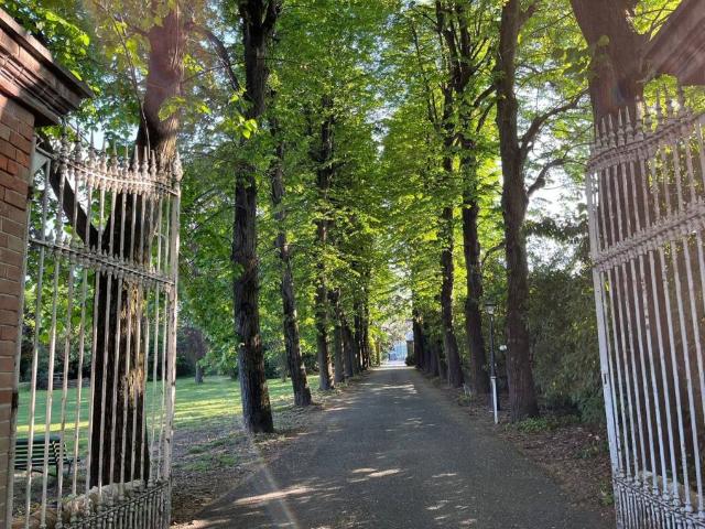 Appartamento in affitto a Piemonte, Torino