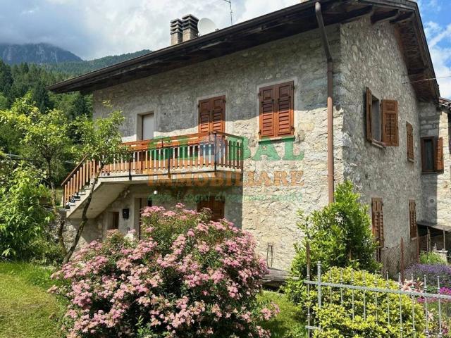 Appartamento in affitto a Comunità Valsugana e Tesino, Pieve Tesino