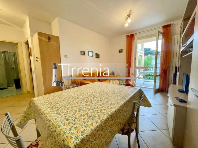 Appartamento in affitto a Chianni, Toscana