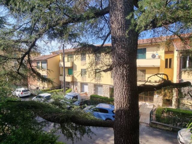 Appartamento in affitto a Don Bosco, Pisa