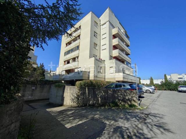 Appartamento in affitto a Don Bosco, Pisa