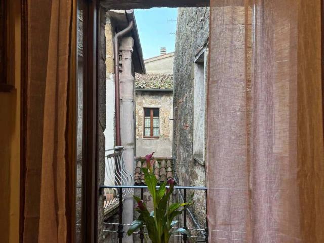 Appartamento in affitto a Unione di Comuni Montani Colline del Fiora, Pitigliano