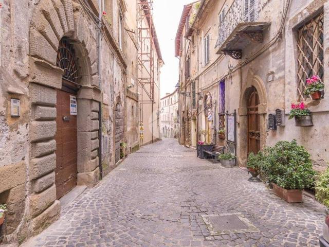 Appartamento in affitto a Roma Capitale, Lazio