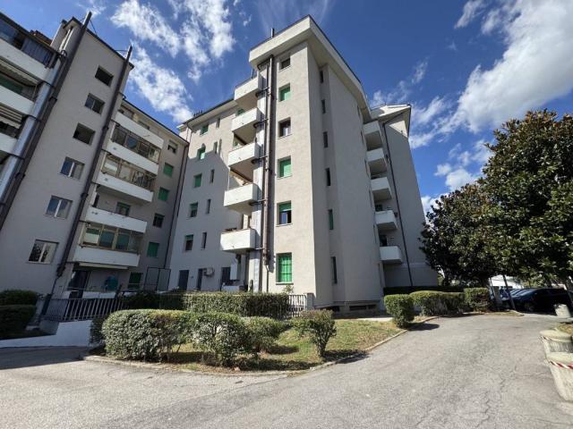 Appartamento in affitto a Prato, Toscana
