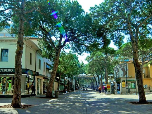 Appartamento in affitto a Alba, Riccione