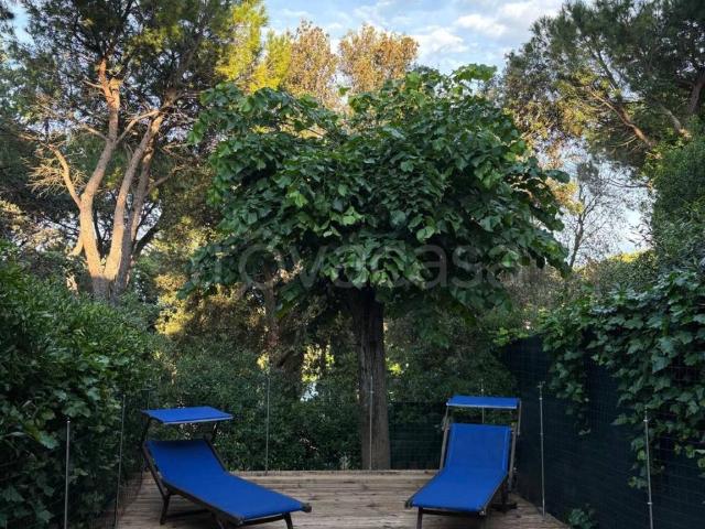 Appartamento in affitto a Lecchi, Toscana