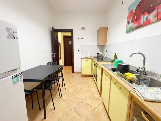 Appartamento in affitto a Municipio Roma VI, Roma Capitale