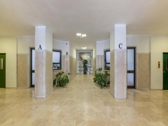 Appartamento in affitto a Municipio Roma XII, Roma Capitale