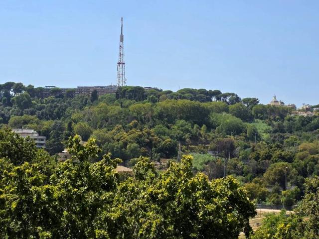 Appartamento in affitto a Municipio Roma I, Roma Capitale