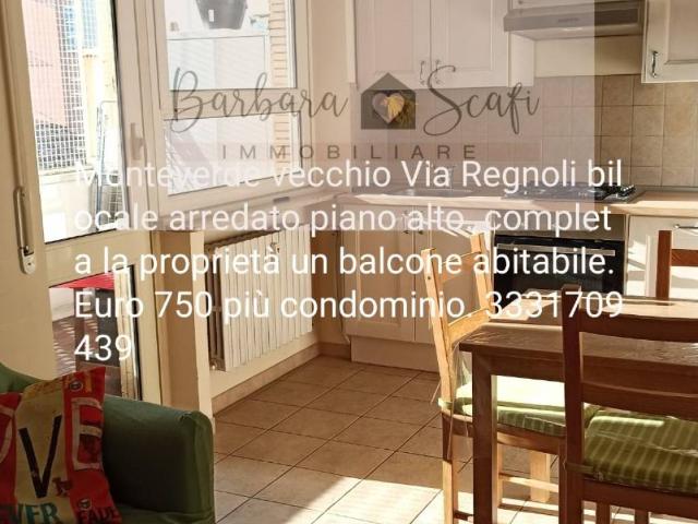 Appartamento in affitto a Municipio Roma XII, Roma Capitale