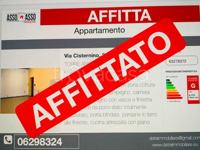 Appartamento in affitto a Torrenova, Roma Capitale