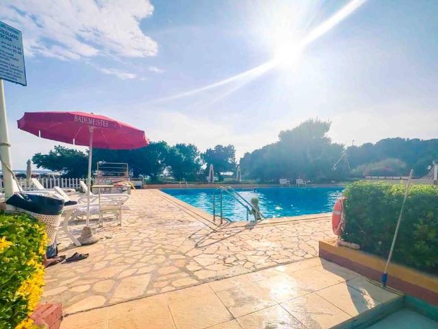 Appartamento in affitto a Rosignano Marittimo, Toscana