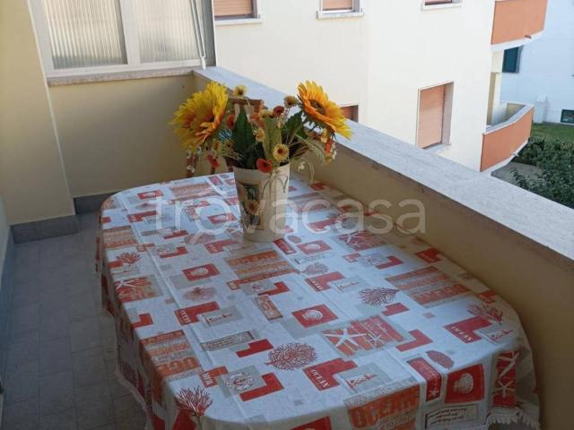 Appartamento in affitto a Rosignano Marittimo, Toscana