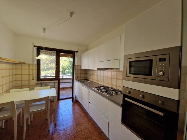 Appartamento in affitto a Comunità della Vallagarina, Borgo Sacco