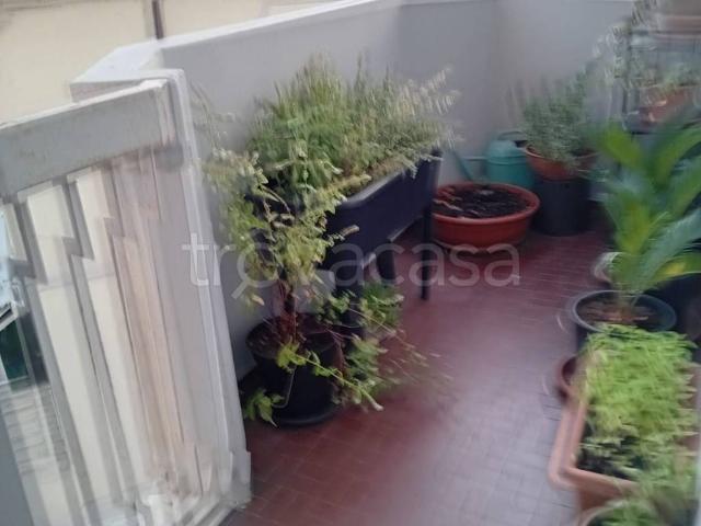 Appartamento in affitto a Rovigo, Veneto