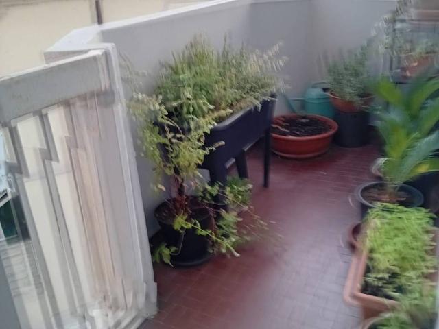 Appartamento in affitto a Rovigo, Veneto