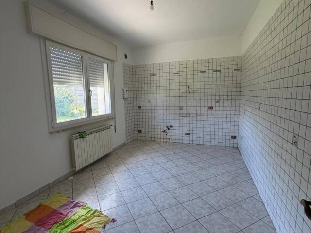 Appartamento in affitto a Rovigo, Veneto