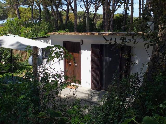 Appartamento in affitto a Sabaudia, Lazio