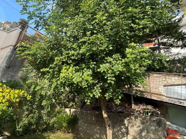 Appartamento in affitto a Sala Abbagnano, Salerno