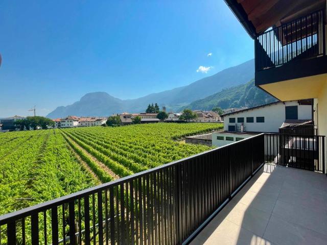 Appartamento in affitto a Überetsch-Unterland - Oltradige-Bassa Atesina, Trentino-Alto Adige/Südtirol