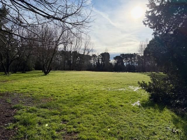 Appartamento in affitto a Piaggia, San Giuliano Terme