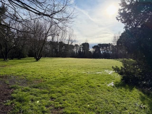 Appartamento in affitto a Piaggia, San Giuliano Terme