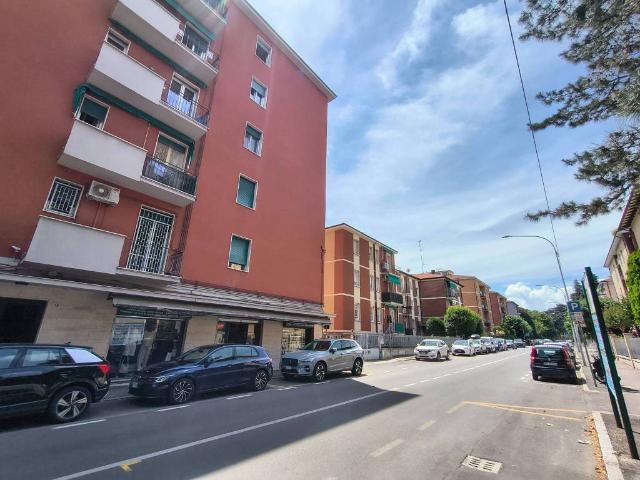 Appartamento in affitto a Cicogna, San Lazzaro