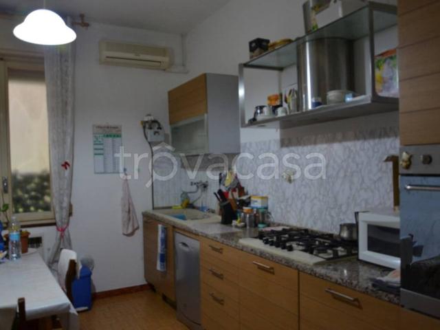 Appartamento in affitto a Cicogna, San Lazzaro