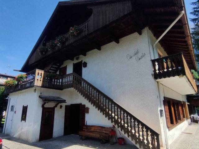 Appartamento in affitto a San Vito Di Cadore, Veneto