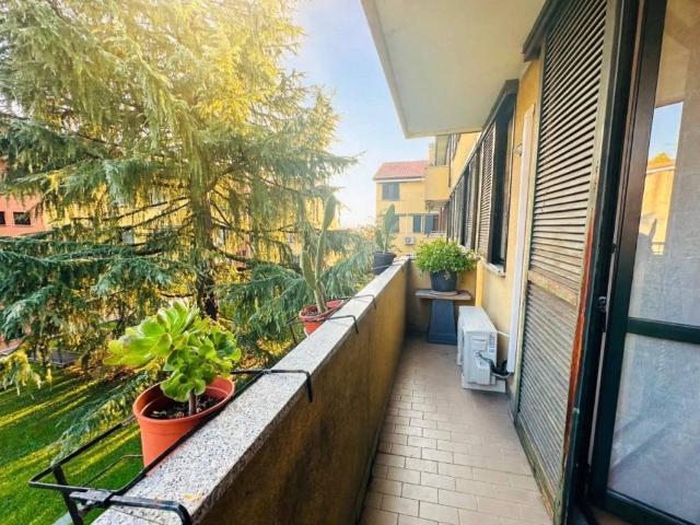 Appartamento in affitto a San Vittore Olona, Milano