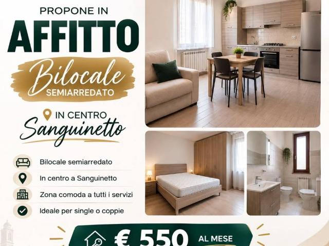 Appartamento in affitto a Sanguinetto, Veneto