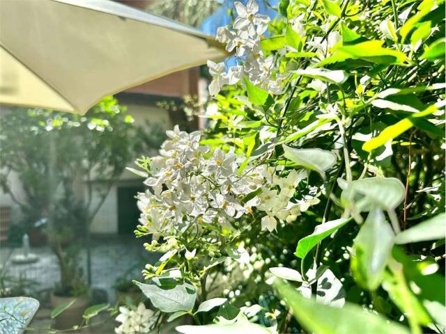 Appartamento in affitto a San Remo, Liguria